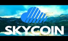 10 Skycoin Facts! The Good, The Bad and The Ugly