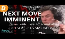 Bitcoin Technical Analysis Update | TSLA Gets Smoked!