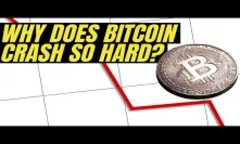 WHY BITCOIN CRASHES SO HARD? Bitcoin Halving ATH | Wealth Creation Opportunity