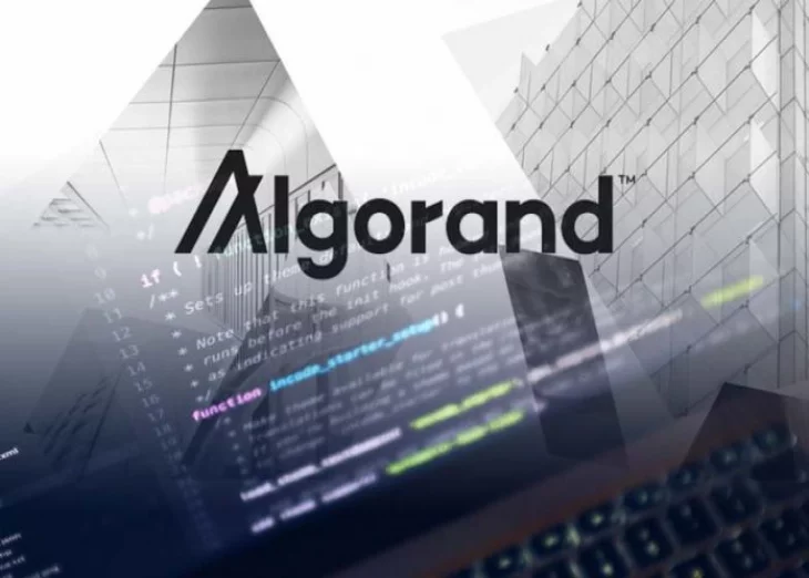 What Does User Replaceability Represent On The Algorand Blockchain?