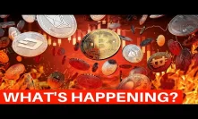 Crypto Bloodbath Continues, But Why? Mike Novogratz' New Hire - Today's Crypto News