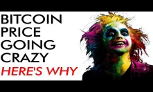 Bitcoin Price Going CRAZY [here's why]