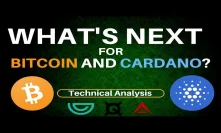 Positive Vibe: What's Next for Bitcoin & Cardano + (ARK, GVT, QSP)