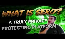 SERO - The Privacy Protecting Blockchain Platform  for Decentralized Applications