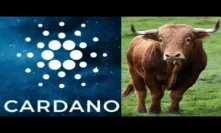 This September Cardano Bullrun Potential Will Prepare To Be A Significant Cryptocurrency