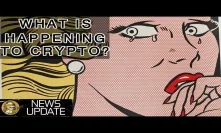 Bitcoin & Cryptocurrency Market Price is Crashing, Why? BTC & Crypto News