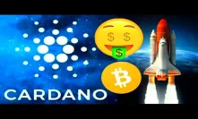 50% Cardano Bullrun ADA Charles Hoskinson Bitcoin Decentralized cryptocurrency