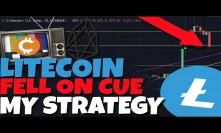 I BOUGHT IN: Litecoin Falls On Cue, My Buying Strategy Moving Forward - Coinbase/Visa LTC Payments?