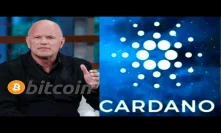 $3 Cardano Bullrun Year 2020 Mike Novogratz 12k Bitcoin Price Prediction