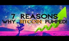 7 Reasons Why Bitcoin Pumped Today!