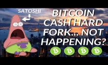 Roger Ver vs Fake Satoshi - Is the Bitcoin Cash Fork Off?