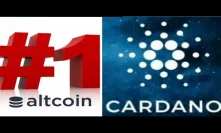 Here is Why Cardano Is The Number 1 Altcoin Im Paying attention to Right now