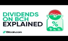 Dividends For Anonymous Bearer Shares Holders On BCH