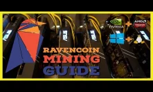 How To Mine Ravencoin | Ultimate Mining Guide | Windows | Linux | Nvidia | AMD