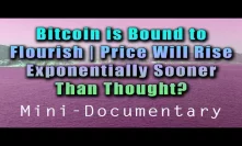 Bitcoin WILL Thrive | Sooner Than Expected | Mini-Documentary