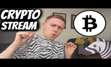 BONUS Crypto Livestream - Zebra Shirt Edition