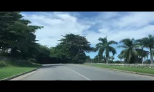 Green canopy highway in Jamaica