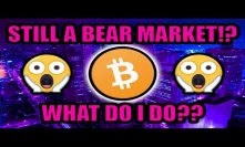 My Strategy With The Prolonged Bear Market [Bitcoin/Cryptocurrency Strategy]