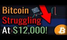 Bitcoin Testing $12,000! North Korea Stole Your Bitcoin!