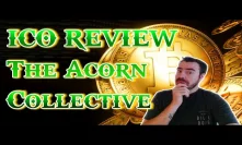 ICO Review: The Acorn Collective - Crowdfunding for everyone!