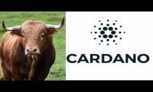 Here Is How A Cardano Bullrun Could Change Cryptocurrency ADA Growth Update