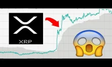XRP Bounces Back Amidst Crypto Nuclear Winter