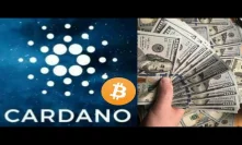 Cardano Bullrun Long Term And A Look At Bitcoin Halving