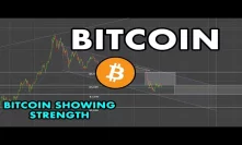 BITCOIN MOVEMENT | BTC's Value Increasing Daily, WHY? | Price Update