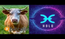 Holochain Bullrun Potential for Year 2020 HOT Bitcoin Cryptocurrency Future
