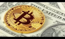 Do You Own Bitcoin?, Crypto Brain Drain, Facebook Ban, LTC MimbleWimble & 