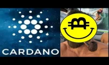 Once People Realize Bitcoins Scarcity Altcoin Season Will Be Normal! Cardano Bullrun Inevitable