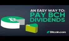 Tutorial: How to pay Bitcoin Cash Dividends - by Roger Ver