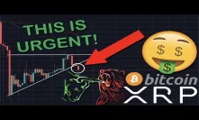 DON'T PANIC: XRP/RIPPLE & BITCOIN SHOWING SIGNS OF MASSIVE MOVEMENT | BE PREPARED