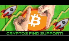 Cryptos Find HUGE Support: BIG News + Buying Opportunities (FREE!)