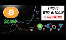 Bitcoin Is BACK to $8,000! We AREN'T In A BULL RUN YET. (Here's Why)