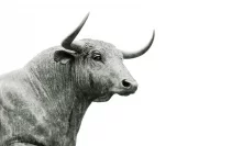 Ethereum [ETH/USD] Technical Analysis: The bull to soon lift the bearish curse?