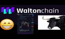 Waltonchain Bullrun Shows Start Of Crypto Revolution in business ecosystem