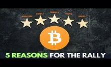 5 Reasons For BTC Rally! Bitcoin Price to Reach $50,000! BitMEX Volume $11 BILL!