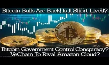 Bitcoin Bulls Are Back! Is It Short Lived? Bitcoin Government Control Conspiracy? VET Rival Amazon
