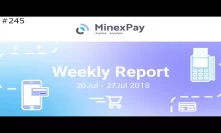 MinexPay Report Week 3 + 4 - Daily Deals: #245
