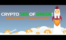 Bitcoin Sea of GREEN! Is the Bear Market Finally Over? - Today's Crypto News