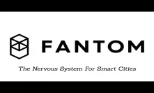 Fantom (FTM) - The Nervous System For Smart Cities! (HUGE Project)