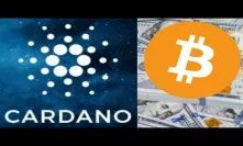 Cardano Vs. Bitcoin Long Term Blockchain Will Be The Ultimate Winner