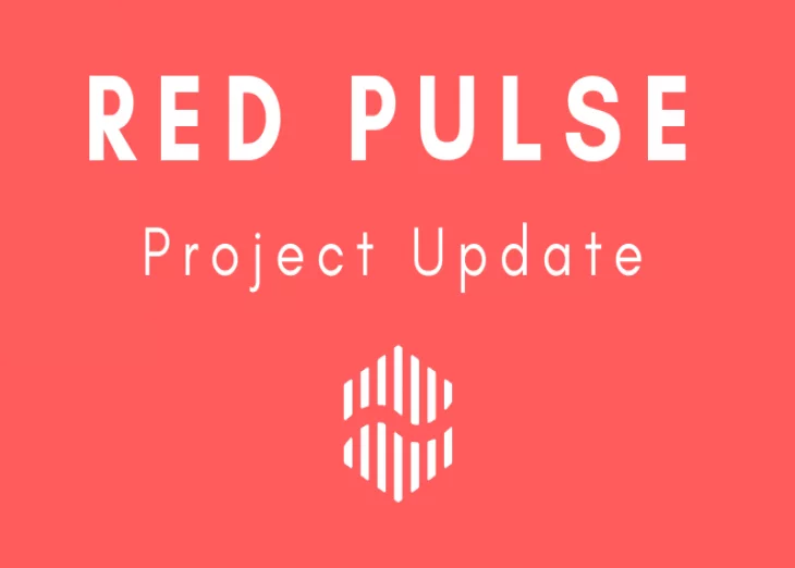 Red Pulse publishes brief project development update