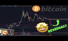 BITCOIN REVERSAL May Happen Quicker Than You Think! - (Litecoin Price News Trading)