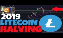 LITECOIN HALVING 2019 CAN GO ONE OF TWO WAYS... WHAT YOU NEED TO KNOW