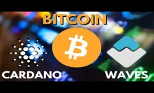 BITCOIN SEES HUGE VOLUMES | Gold Rush 2.0 | Cardano Updates | Waves Launches Staking | Crypto News