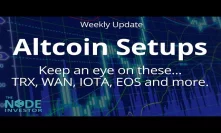 Altcoins Are Setting Up!  Technical Analysis Update for BTC ETH IOTA TRX and more.