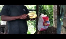 Roast breadfruit in Jamaica