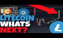 LITECOIN & BITCOIN JUST TESTED SOMETHING IT HASN'T DONE THE ENTIRE BEAR MARKET (ADA)
